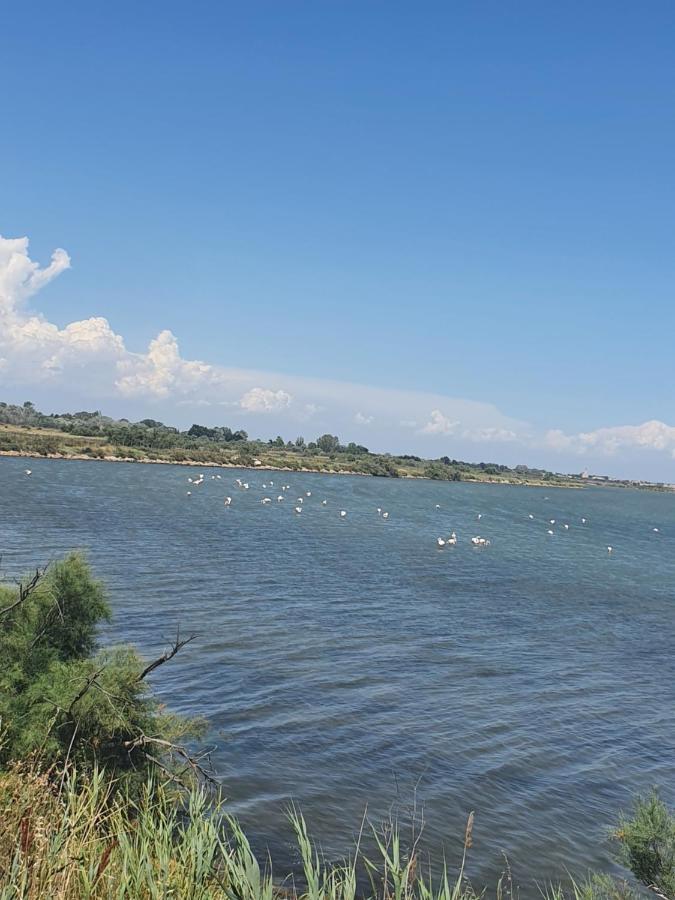Vacances En Camargue Le Grau-du-Roi Exterior foto